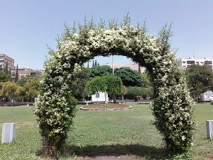 بطاقة حب لدمشق