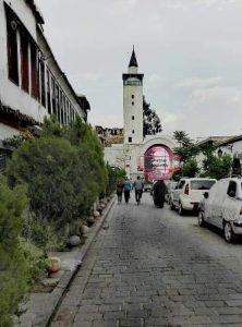 عدسة غسان الشيخ 